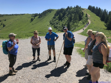 KAC Gaissau Kräuterwanderung 2019 06 29 11 14 20  4666